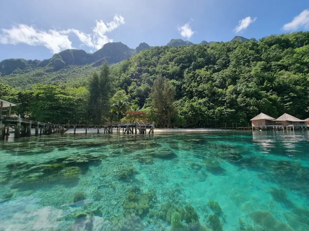 Pantai Ora Maluku: Harmoni Laut Jernih dan Kehidupan Desa Pesisir